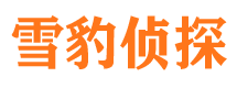 普陀区市侦探调查公司